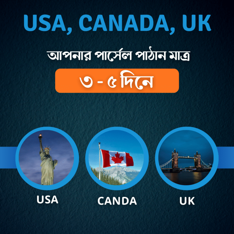 ZED International (3)